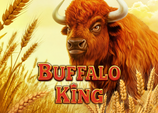Buffalo King — Pragmatic Play